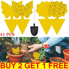 41Pcs Fly Catcher Sticky Traps