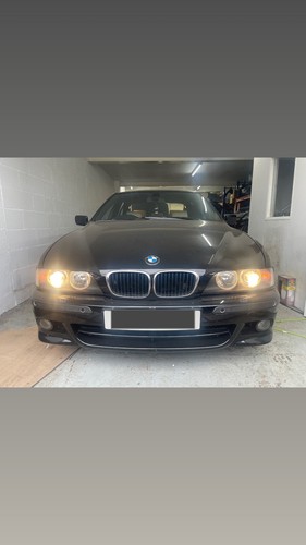 Bmw e39 halogen headlights - bmw,