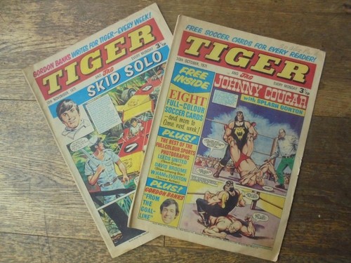 Two copies tiger and jag - copies,