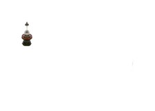 Bulb PGJ19-2 H11 1 987 302 085