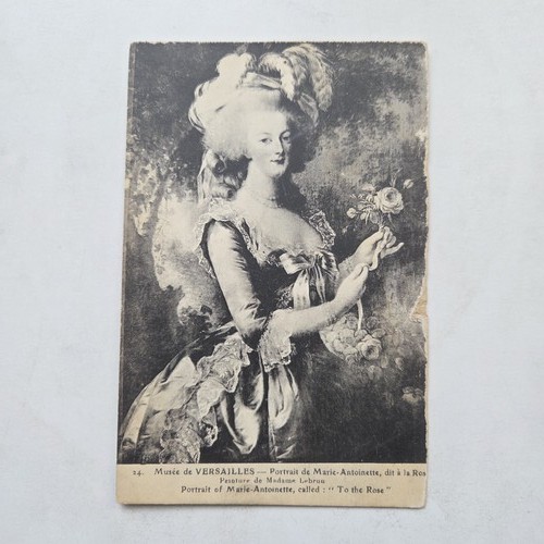 Marie antoinette rose - a,