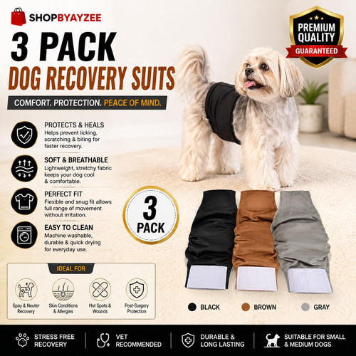 Pack washable male dog - 3,