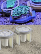 No-Glue Frag Holder – Perfect for Soft & Leather Corals