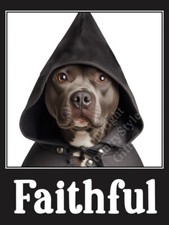 Staffy Staffordshire Bull