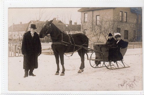 Horse drawn sleigh regina - horse,