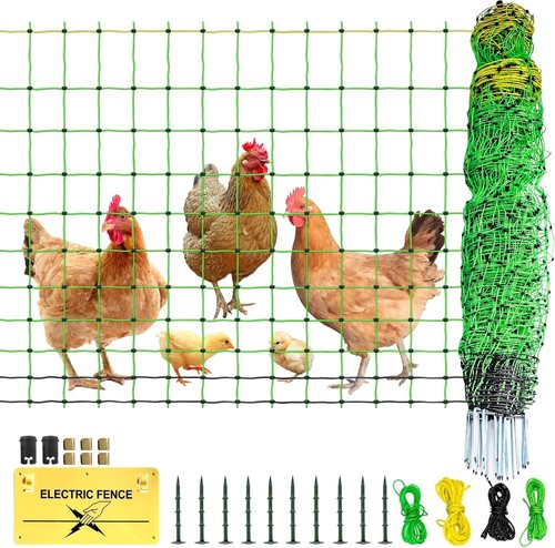 Electric poultry netting - poultry, fence