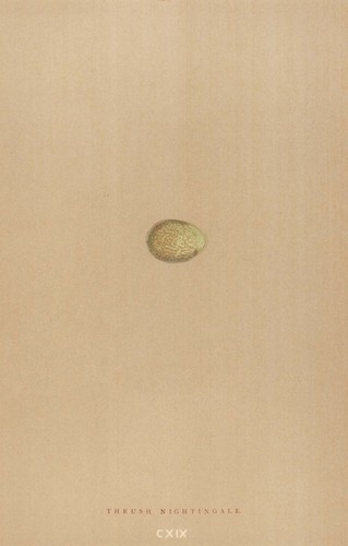 British bird eggs thrush - eggs.,