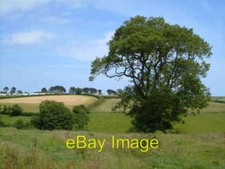 Photo 6x4 View near Cotton