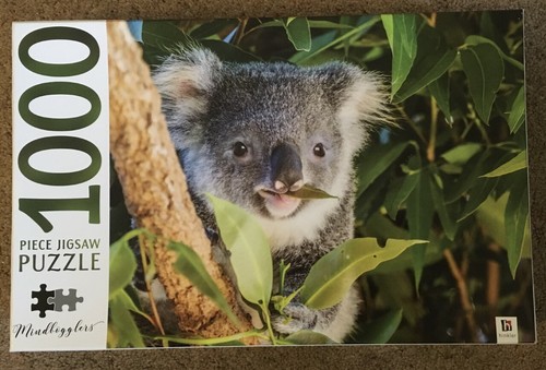 Mindbogglers koala queensland - mindbogglers,