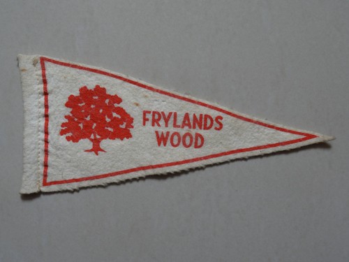 Frylands wood scout camp - scout,