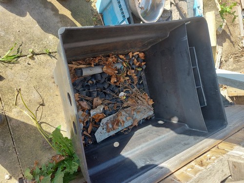 Fish pond filter - fish,