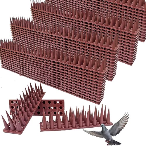 30m bird spikes for pigeon - 30m,