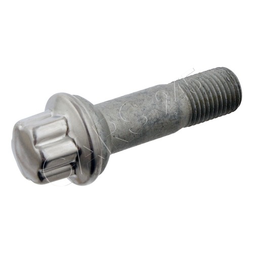 Front rear wheel - rear, bolt