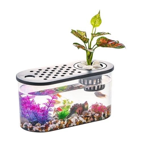 Aquarium open view water - aquarium,