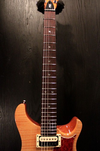 Prs custom semi hollow - 22, semi-hollow