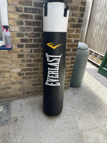 Everlast never tear boxing - tear,