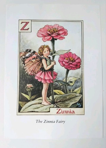 Vintage zinnia flower - zinnia,