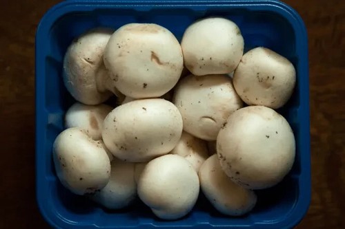 Seeds mushroom white - ,