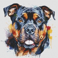 American Bully Puppy Dog