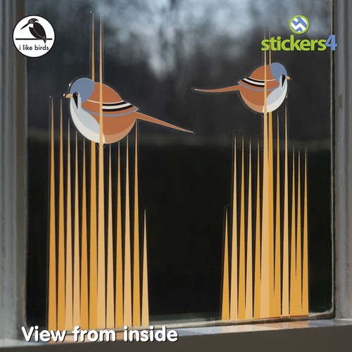 Like birds bearded reedlings - like,