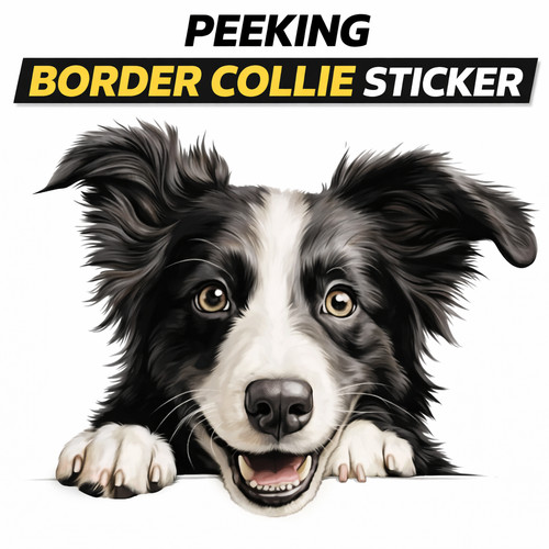 Funny peeking border - peeking, collie
