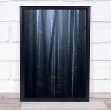 Landscape Landscapes Tree Trunks Trees Woods Forest Fog Mist Wall Art Print