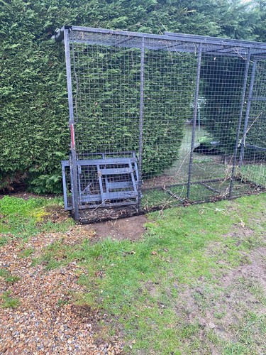 Extension cage top - , &