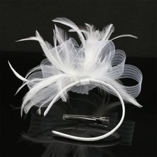Clip Wedding Feather
