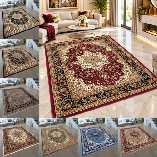 Luxury traditional large rugs - traditional,