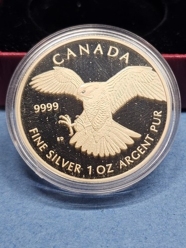 2014 peregrine falcon canada - 2014,