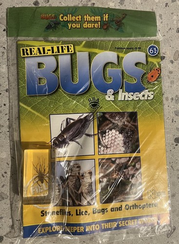 Real life bugs issue - life, 61