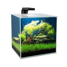 Ciano cube litre aquarium - cube, 15
