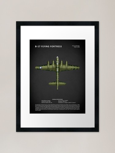 Flying fortress framed - flying,