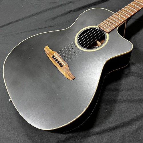 Fender newporter - fender,
