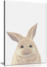 Rabbit Framed Canvas Print