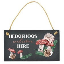 Hedgehogs Welcome Here
