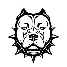 American Bully Pitbull Car Van