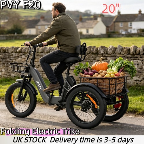 Pvy fat tire - tire, electric