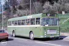 Bus Photo - Cheltenham &