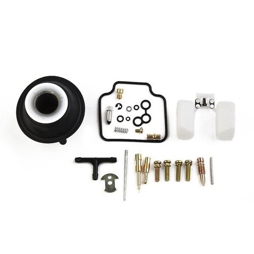Repair carburetor kit - repair,
