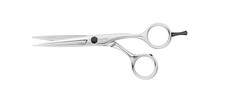 Tondeo cut line - tondeo, s-line