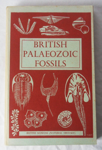 British palaeozoic fossils - palaeozoic,