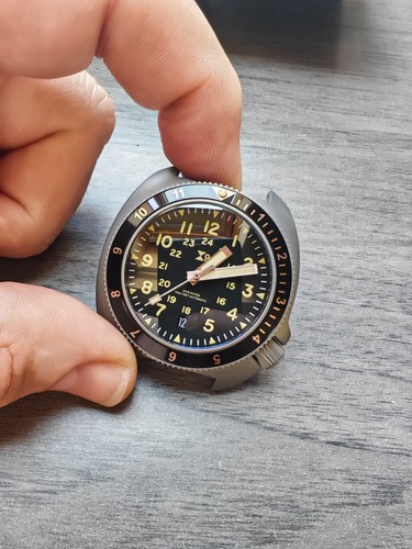 1976 titanium turtle - titanium,