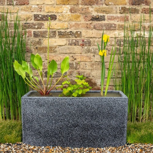 Pond pot trough grey - in,