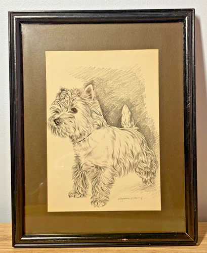 Framed west highland terrier - framed,
