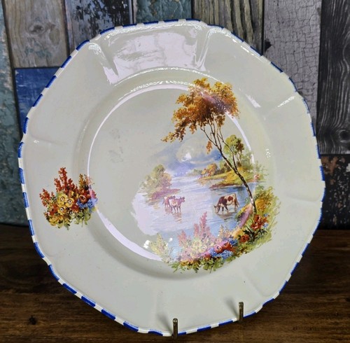 Vintage coronet ware plate - vintage,