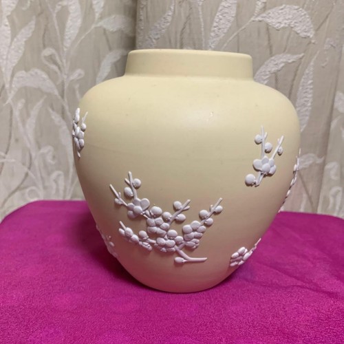 Wedgwood primrose prunus - primrose,
