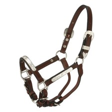 Miniature Horse Silver Bar