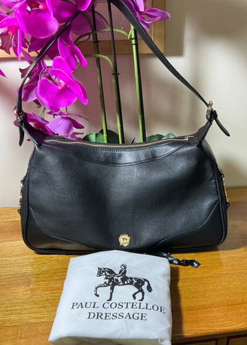 Paul costelloe dressage - paul,