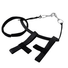 Scuba Diving 6\\\\\\\" Tank